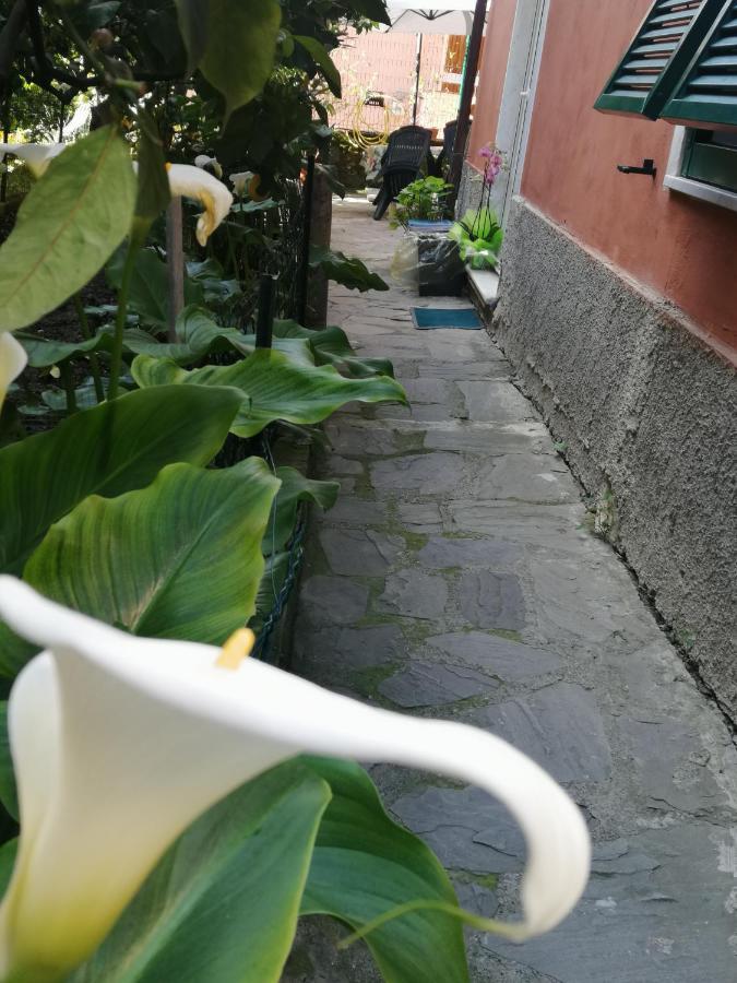 A Ca Du Barba Apartment Monterosso al Mare Luaran gambar
