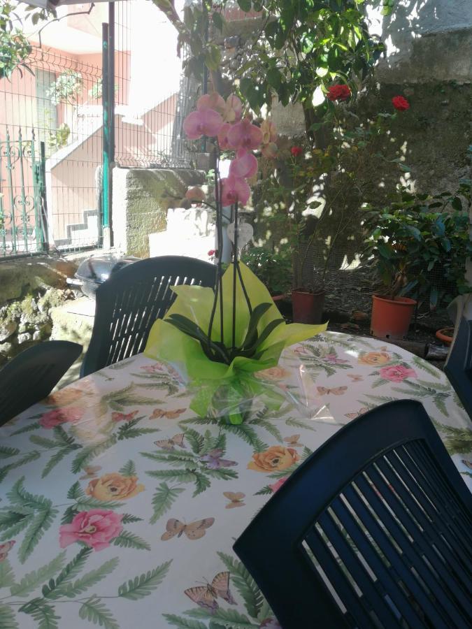A Ca Du Barba Apartment Monterosso al Mare Luaran gambar
